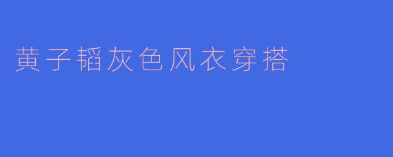 黄子韬灰色风衣穿搭