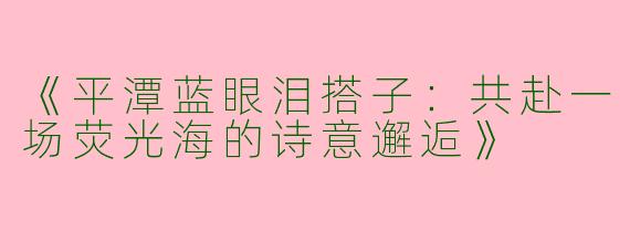 《平潭蓝眼泪搭子：共赴一场荧光海的诗意邂逅》