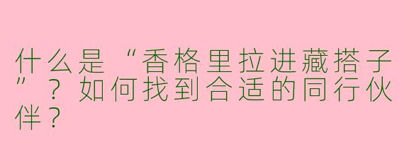什么是“香格里拉进藏搭子”？如何找到合适的同行伙伴？