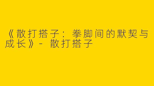 《散打搭子：拳脚间的默契与成长》-散打搭子