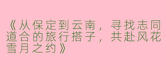 《从保定到云南，寻找志同道合的旅行搭子，共赴风花雪月之约》