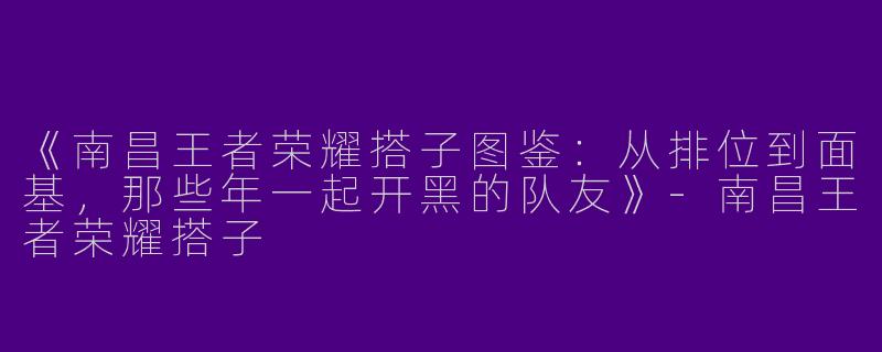 《南昌王者荣耀搭子图鉴：从排位到面基，那些年一起开黑的队友》-南昌王者荣耀搭子