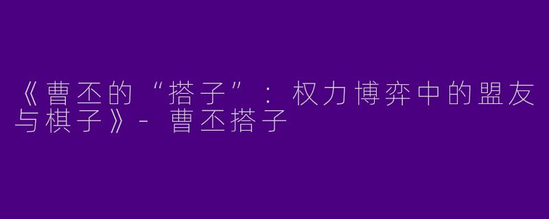 《曹丕的“搭子”：权力博弈中的盟友与棋子》-曹丕搭子
