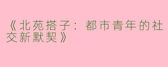 《北苑搭子：都市青年的社交新默契》