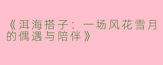 《洱海搭子：一场风花雪月的偶遇与陪伴》
