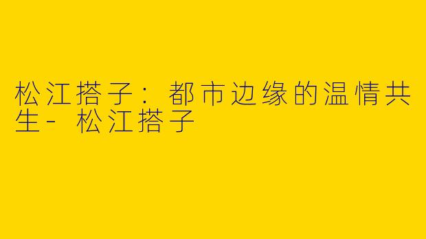 松江搭子：都市边缘的温情共生