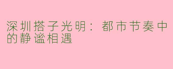 深圳搭子光明：都市节奏中的静谧相遇