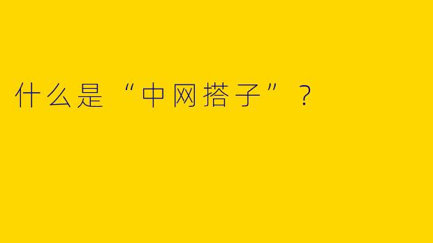 什么是“中网搭子”？