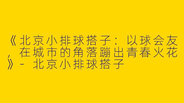 《北京小排球搭子：以球会友，在城市的角落蹦出青春火花》-北京小排球搭子