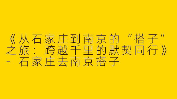 《从石家庄到南京的“搭子”之旅：跨越千里的默契同行》-石家庄去南京搭子
