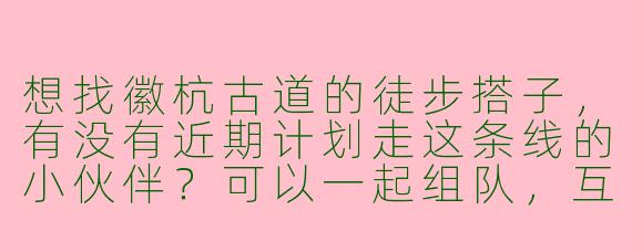 想找徽杭古道的徒步搭子，有没有近期计划走这条线的小伙伴？可以一起组队，互相照应，分享攻略！