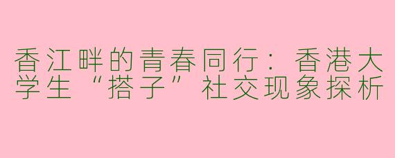 香江畔的青春同行：香港大学生“搭子”社交现象探析