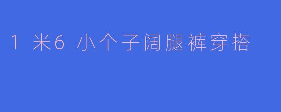 1米6小个子阔腿裤穿搭