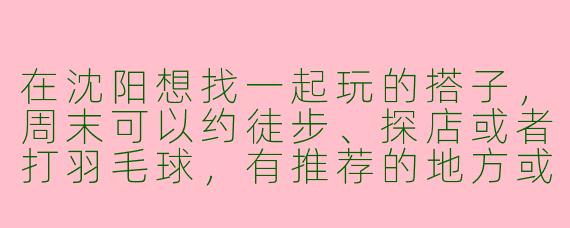 在沈阳想找一起玩的搭子，周末可以约徒步、探店或者打羽毛球，有推荐的地方或群组吗？