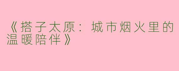 《搭子太原：城市烟火里的温暖陪伴》