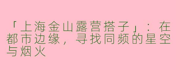 「上海金山露营搭子」：在都市边缘，寻找同频的星空与烟火