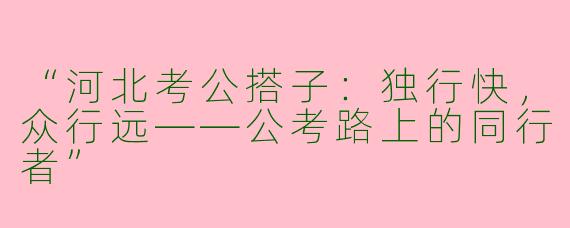 “河北考公搭子：独行快，众行远——公考路上的同行者”
