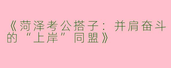 《菏泽考公搭子：并肩奋斗的“上岸”同盟》