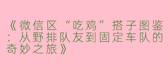 《微信区“吃鸡”搭子图鉴：从野排队友到固定车队的奇妙之旅》