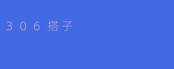 什么是“.306搭子”？