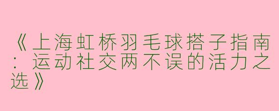 《上海虹桥羽毛球搭子指南：运动社交两不误的活力之选》