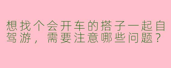 想找个会开车的搭子一起自驾游，需要注意哪些问题？