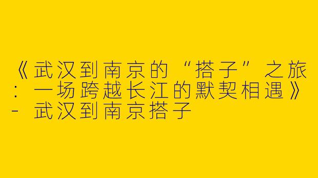 《武汉到南京的“搭子”之旅：一场跨越长江的默契相遇》-武汉到南京搭子