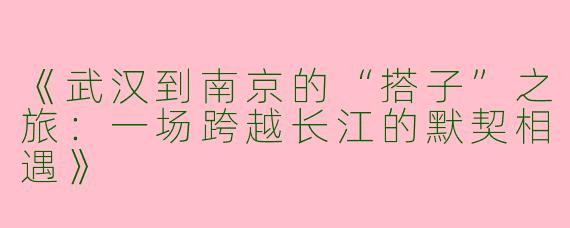 《武汉到南京的“搭子”之旅：一场跨越长江的默契相遇》