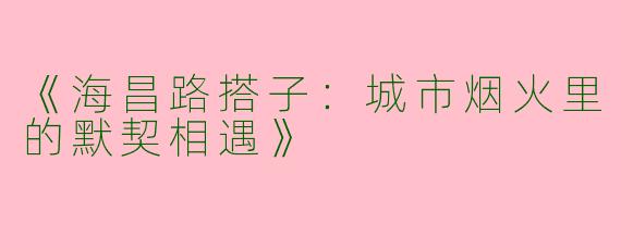 《海昌路搭子：城市烟火里的默契相遇》