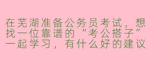 在芜湖准备公务员考试，想找一位靠谱的“考公搭子”一起学习，有什么好的建议或途径吗？