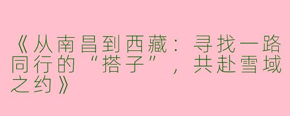 《从南昌到西藏：寻找一路同行的“搭子”，共赴雪域之约》