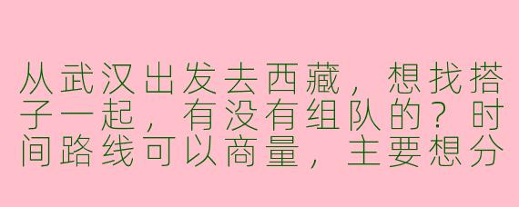 从武汉出发去西藏，想找搭子一起，有没有组队的？时间路线可以商量，主要想分摊费用+互相照应！