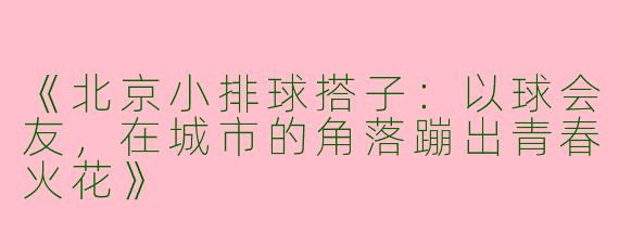 《北京小排球搭子：以球会友，在城市的角落蹦出青春火花》