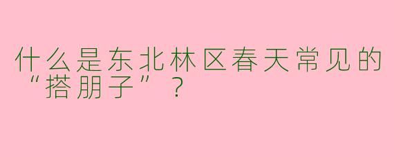 什么是东北林区春天常见的“搭朋子”？