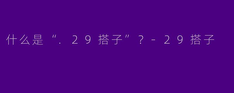 什么是“.29搭子”？