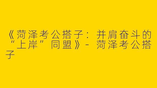 《菏泽考公搭子：并肩奋斗的“上岸”同盟》-菏泽考公搭子