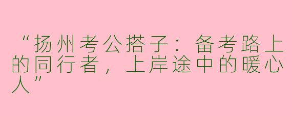 “扬州考公搭子：备考路上的同行者，上岸途中的暖心人”