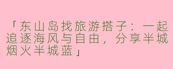 「东山岛找旅游搭子：一起追逐海风与自由，分享半城烟火半城蓝」