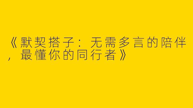 《默契搭子：无需多言的陪伴，最懂你的同行者》