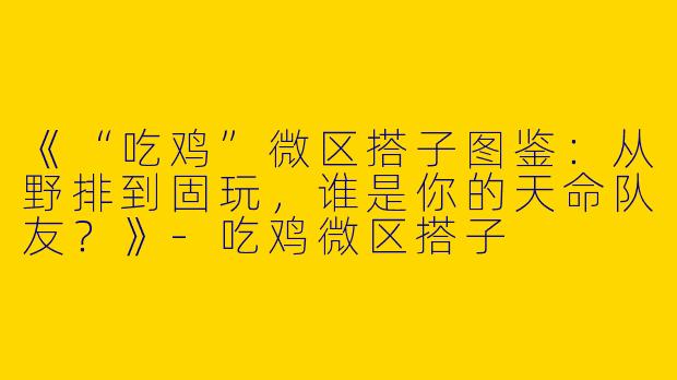 《“吃鸡”微区搭子图鉴：从野排到固玩，谁是你的天命队友？》-吃鸡微区搭子