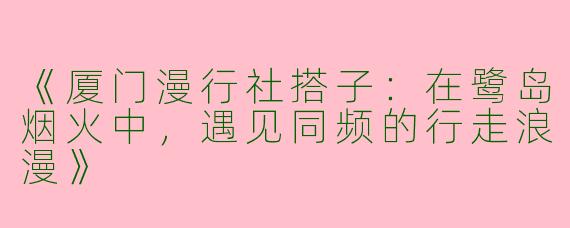 《厦门漫行社搭子：在鹭岛烟火中，遇见同频的行走浪漫》