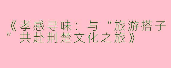 《孝感寻味：与“旅游搭子”共赴荆楚文化之旅》