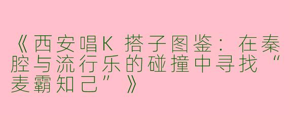 《西安唱K搭子图鉴：在秦腔与流行乐的碰撞中寻找“麦霸知己”》