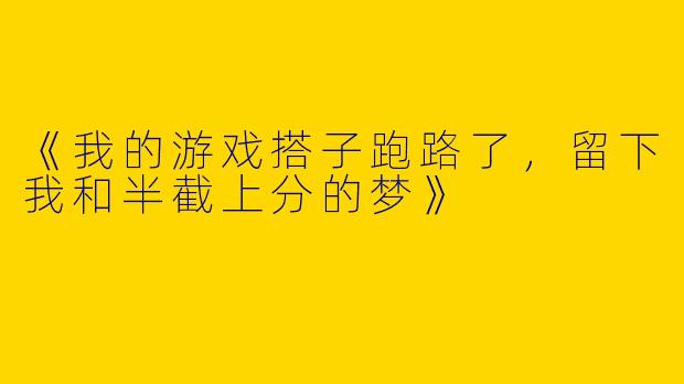 《我的游戏搭子跑路了，留下我和半截上分的梦》