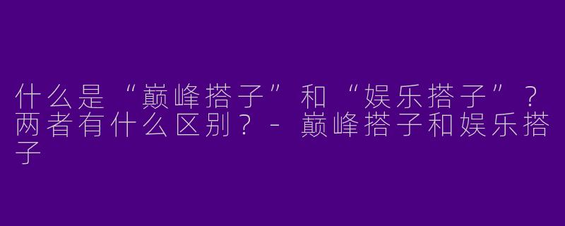 什么是“巅峰搭子”和“娱乐搭子”？两者有什么区别？-巅峰搭子和娱乐搭子