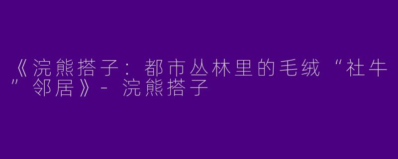 《浣熊搭子：都市丛林里的毛绒“社牛”邻居》-浣熊搭子