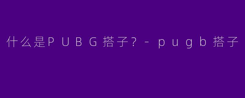 什么是PUBG搭子？