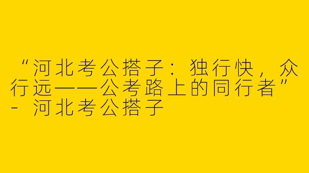 “河北考公搭子：独行快，众行远——公考路上的同行者”-河北考公搭子