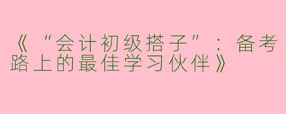 《“会计初级搭子”：备考路上的最佳学习伙伴》