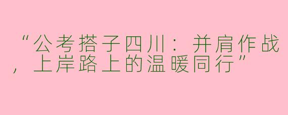 “公考搭子四川：并肩作战，上岸路上的温暖同行”